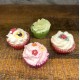 COFFRET 4 CUP CAKES  FRUITY